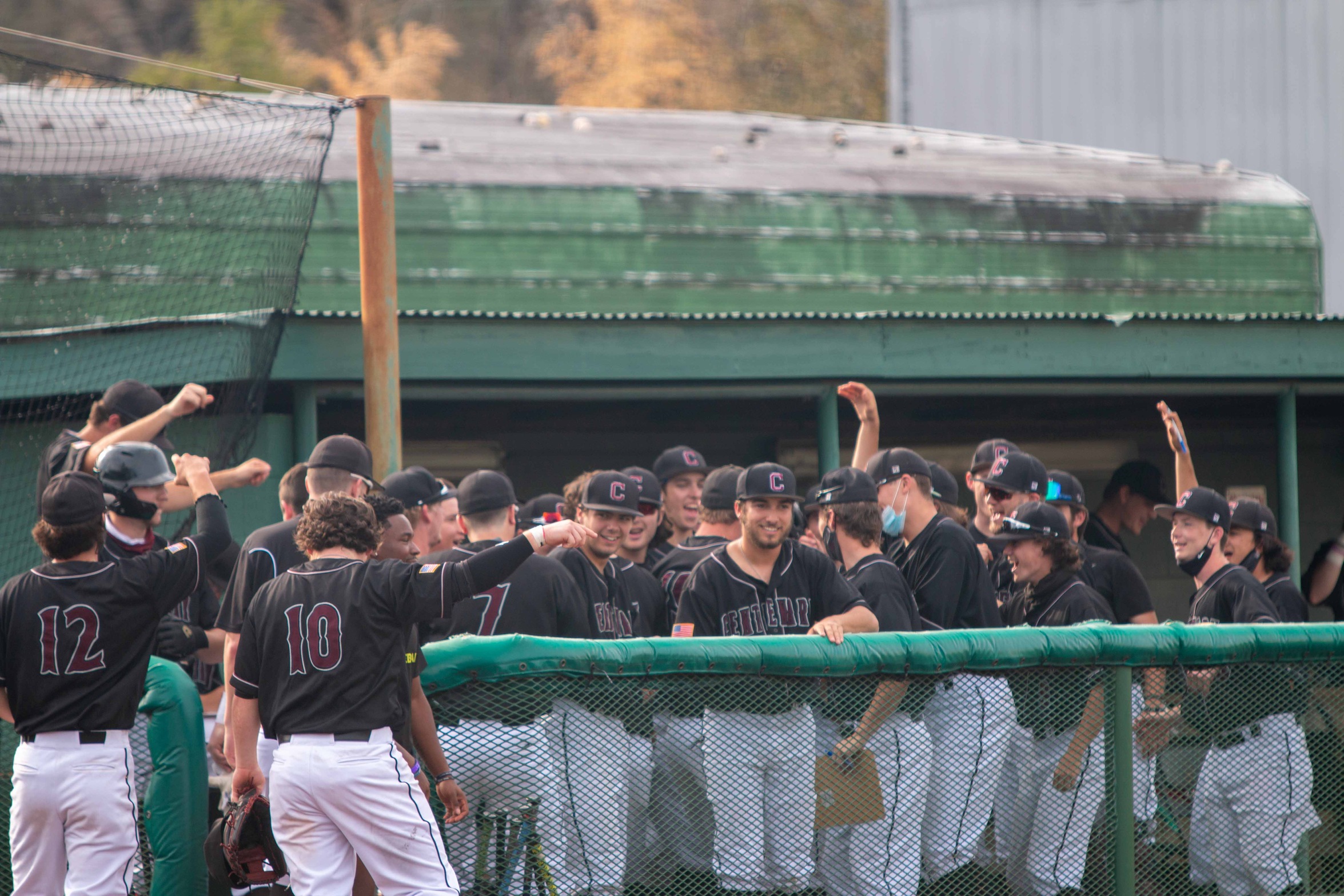 #20 Baseball Edges Texas Lutheran 5-4 on Friday In Series Opener