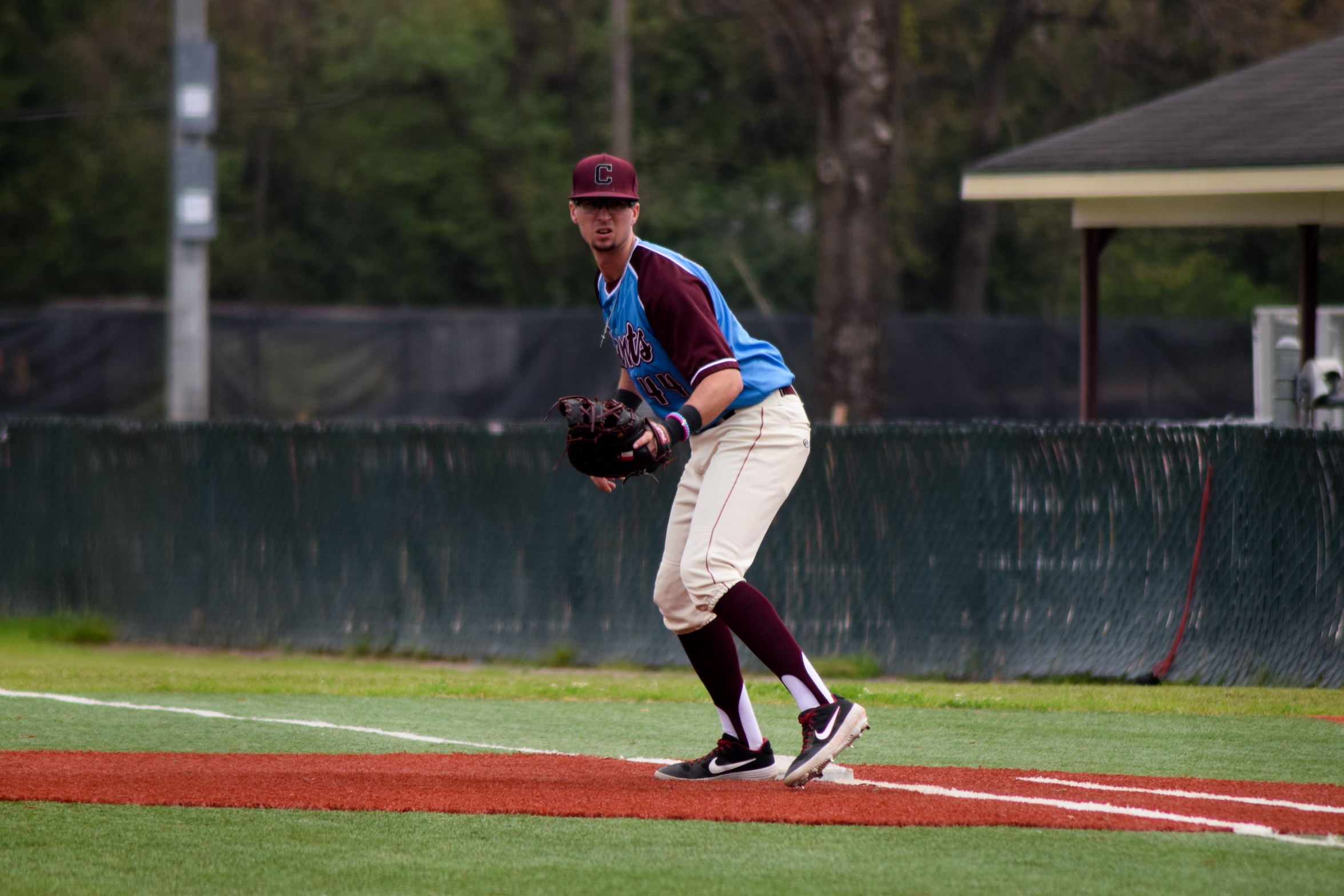 Baseball Remains Perfect at Home; Aims for Series Sweep on Saturday