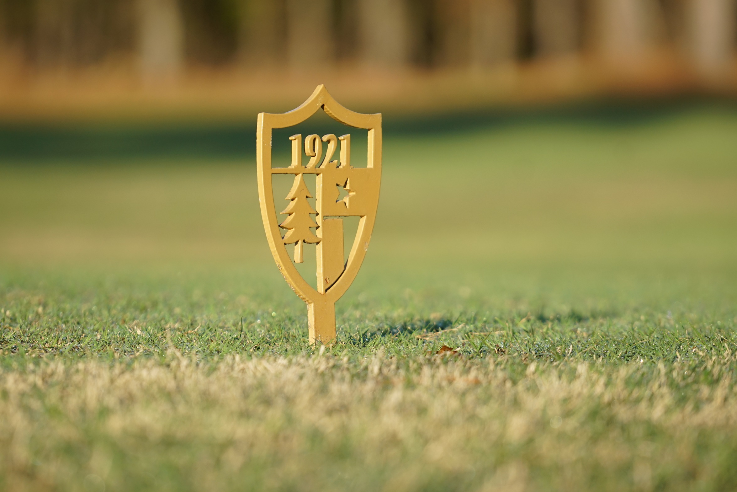 Roberts Finishes 17th At Pinecrest Invitational