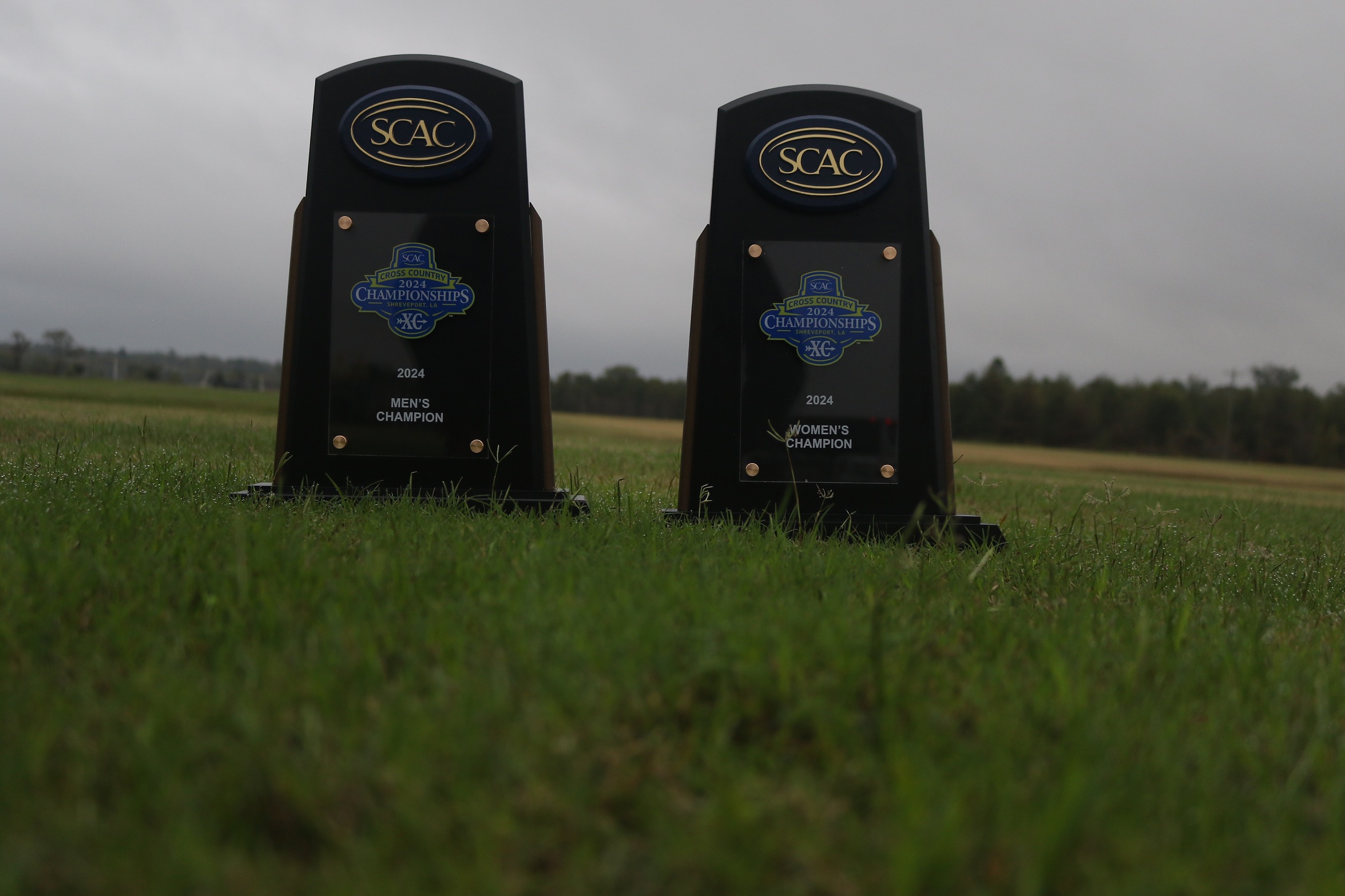 Colorado College Sweeps SCAC Cross Country Meet
