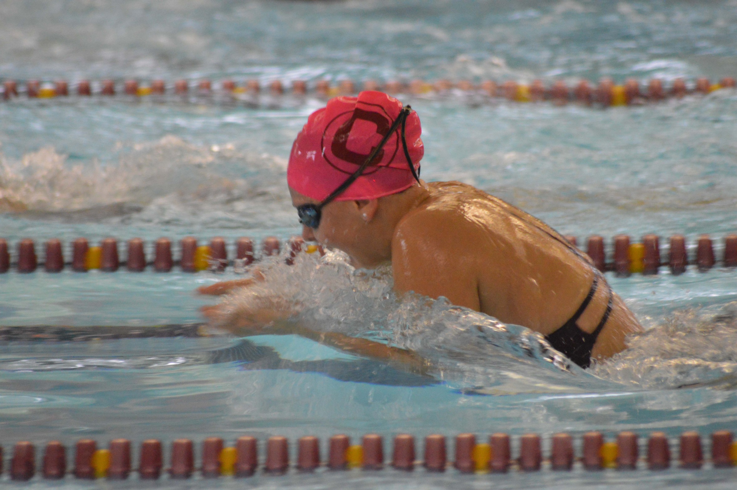 Women's Swimming Splits Decisions at Austin College Double Dual meet