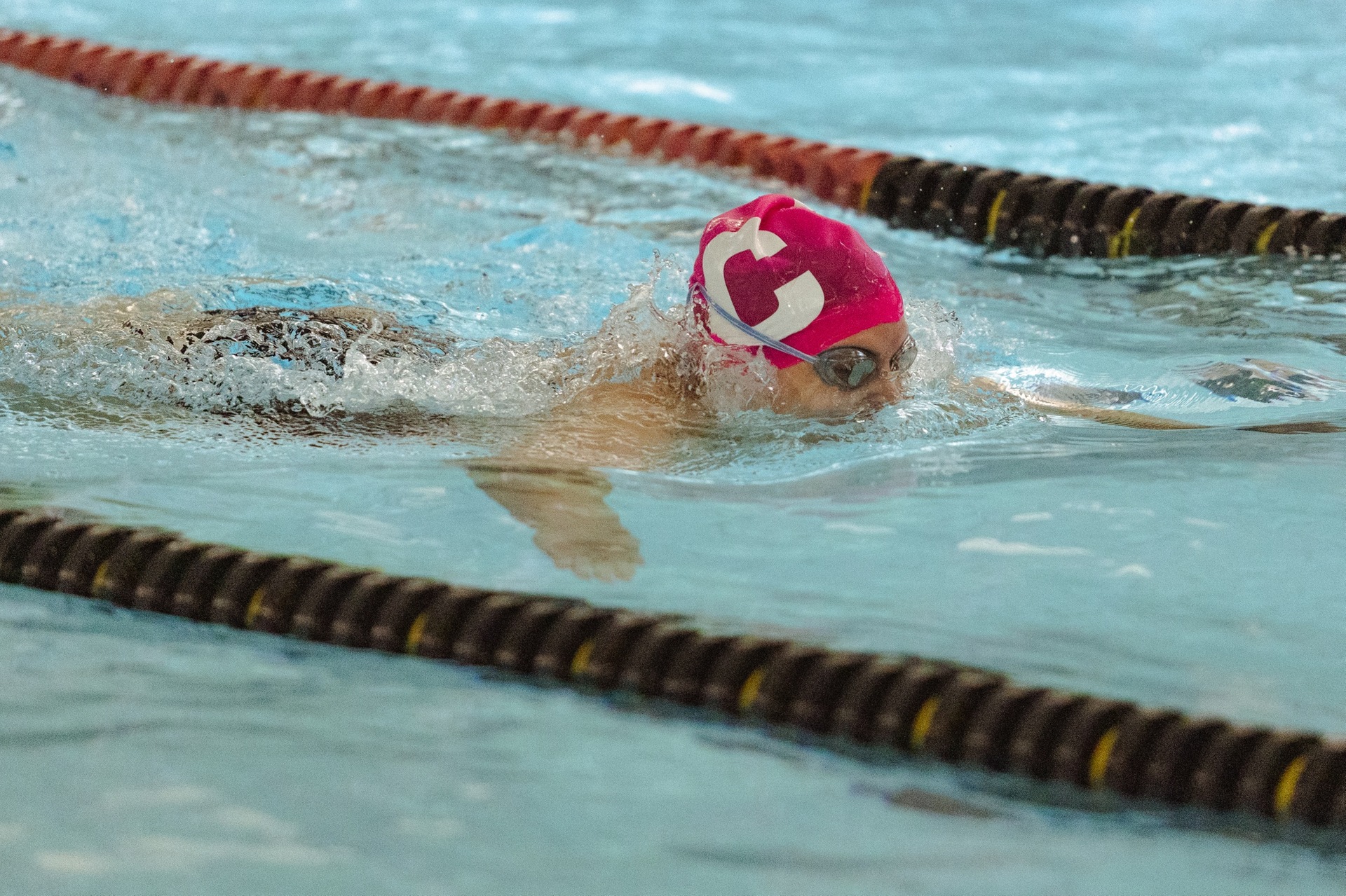 Swimming Set For Home Finale On Saturday