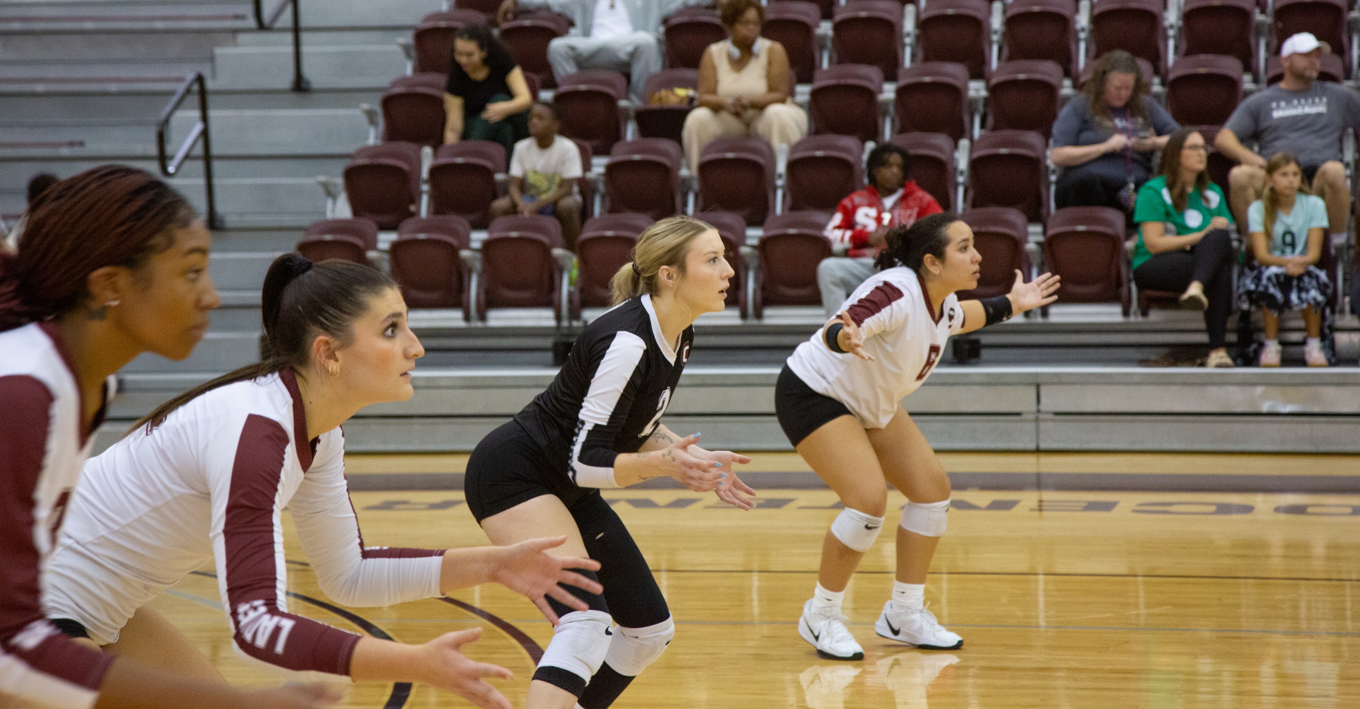 The Ladies will face Dallas on Saturday to begin a season-long homestand.