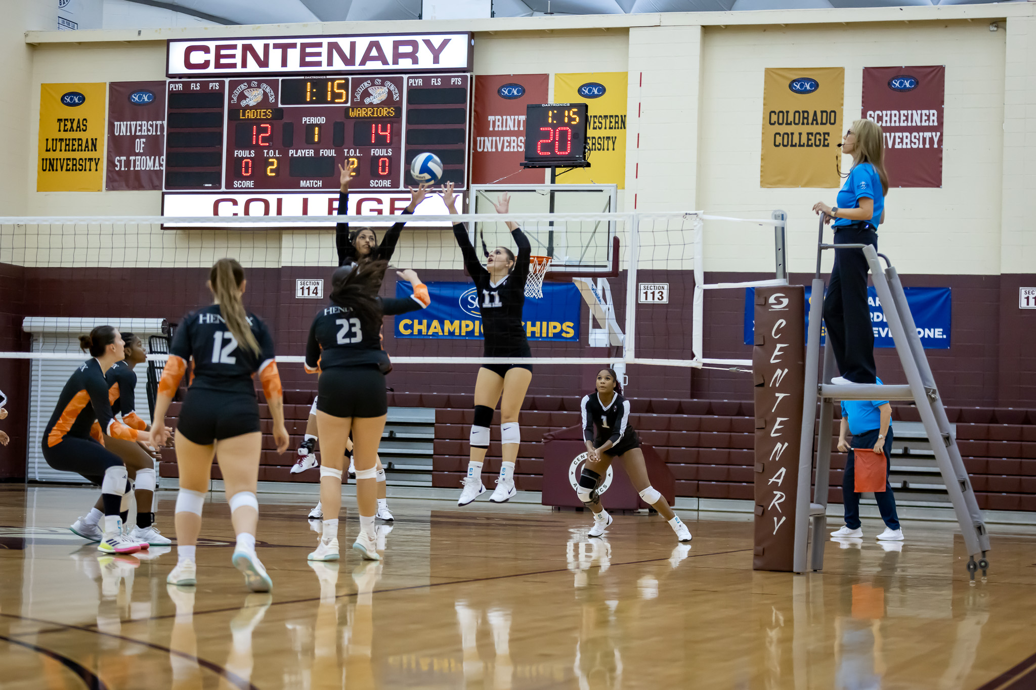 Ladies Swept At Home On Tuesday By 'Roos