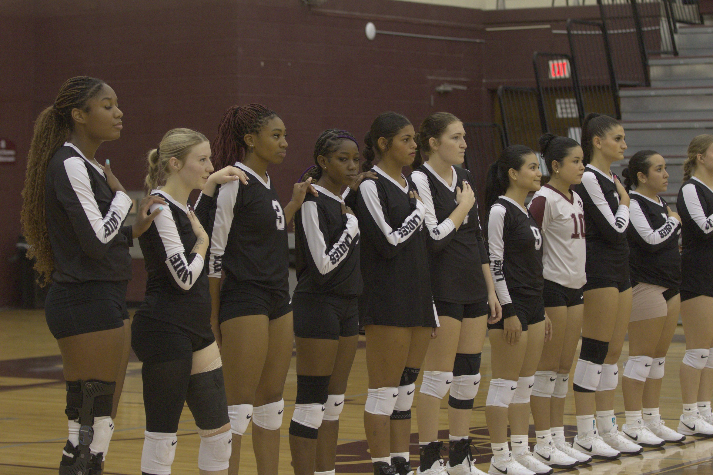 The Ladies continue conference play at home this weekend versus Hendrix and Ozarks.